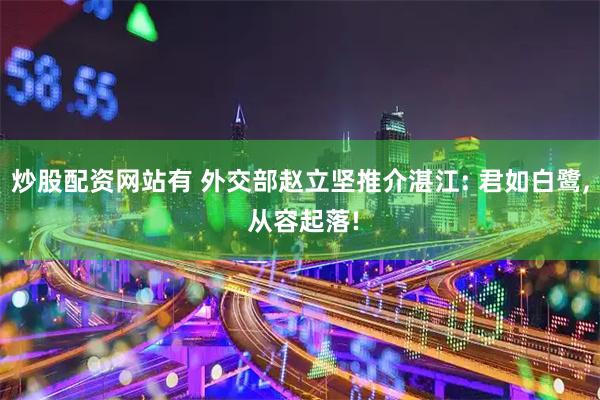炒股配资网站有 外交部赵立坚推介湛江: 君如白鹭, 从容起落!