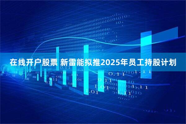 在线开户股票 新雷能拟推2025年员工持股计划
