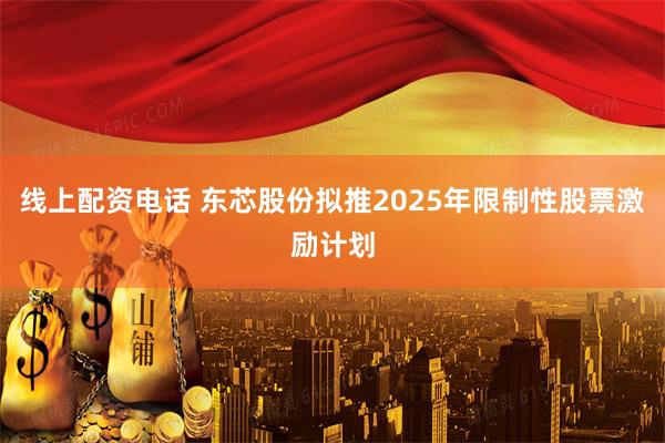 线上配资电话 东芯股份拟推2025年限制性股票激励计划